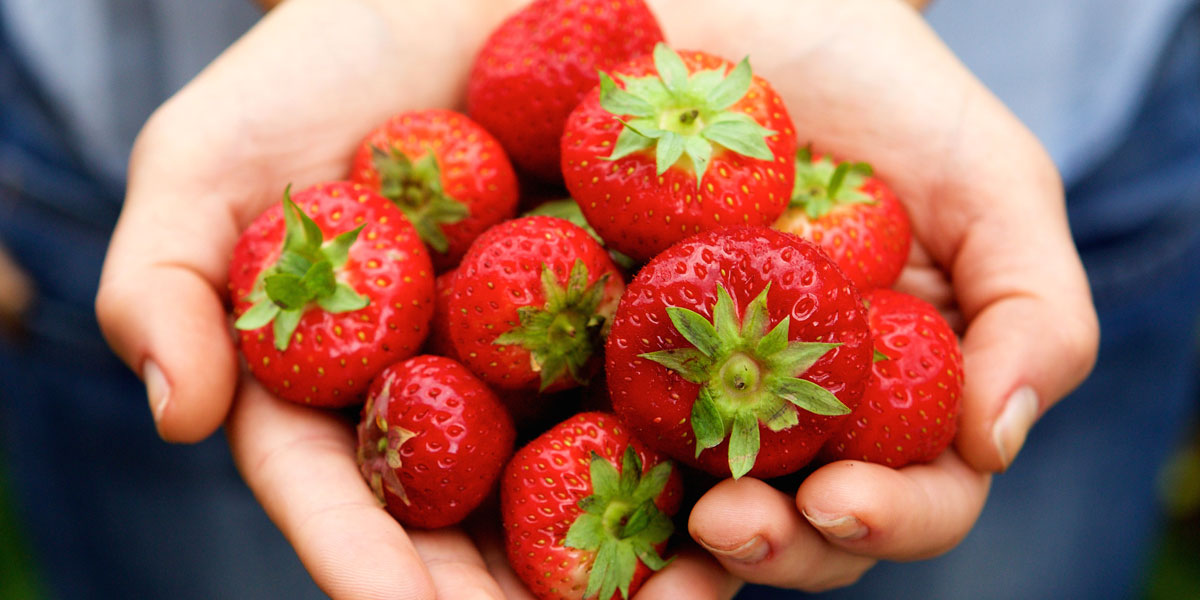 Strawberry Salsa - Farm Monitor